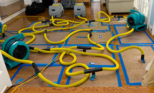 Professional Crawl Space Water Removal technician working in Amity, OR